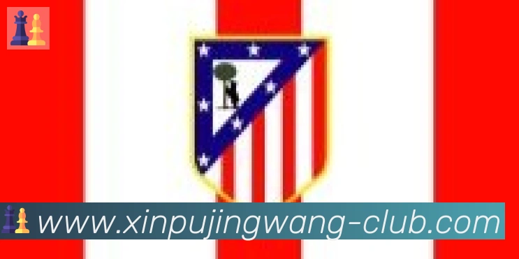 新葡京娱乐网合作伙伴